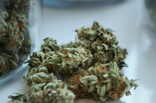 cbd olie 10 procent