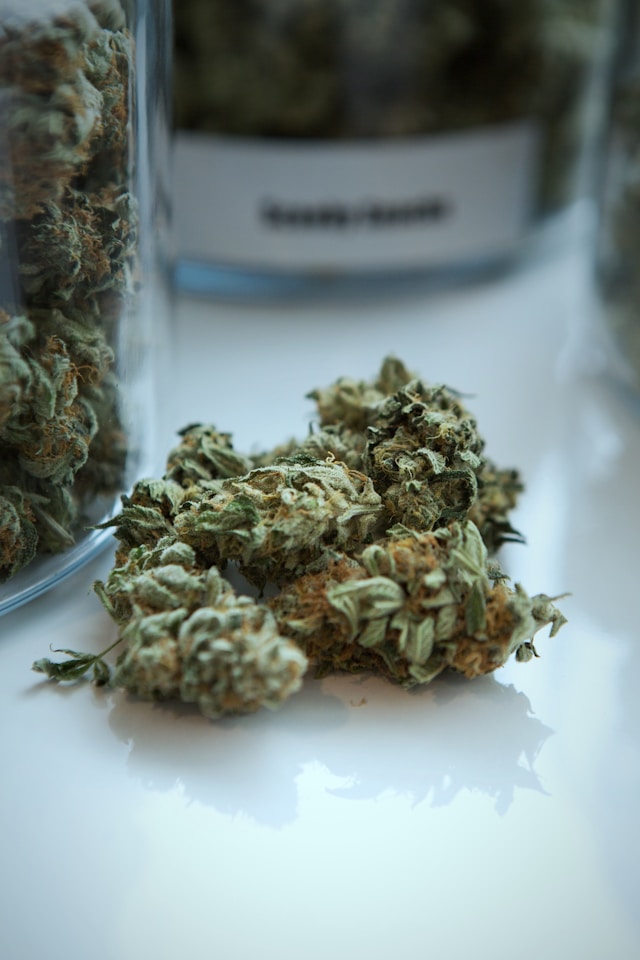 cbd olie 10 procent