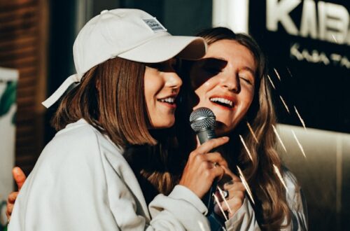 karaoke højtaler med mikrofon